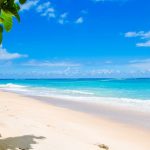 Jacksonville's Beaches